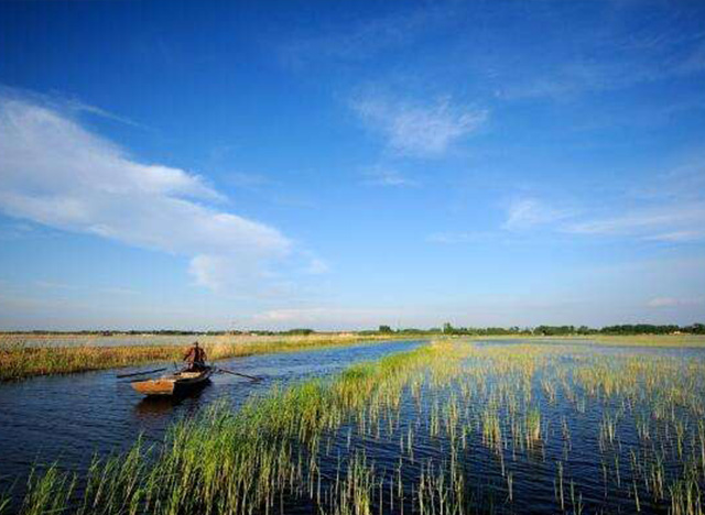 12月7日開標！白洋淀淀區村一體化治理項目對外招標啦   