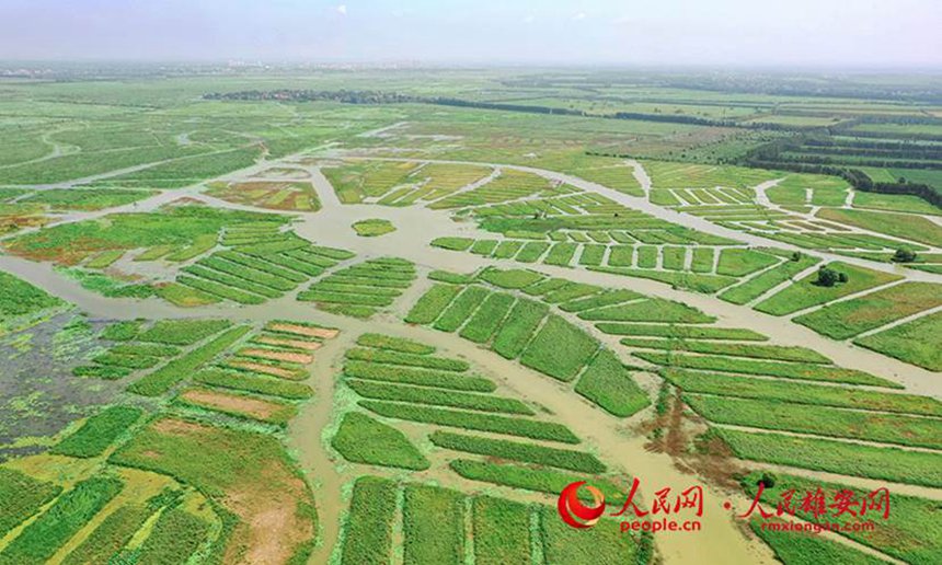 z˸߀Bػ֏͹۰W z