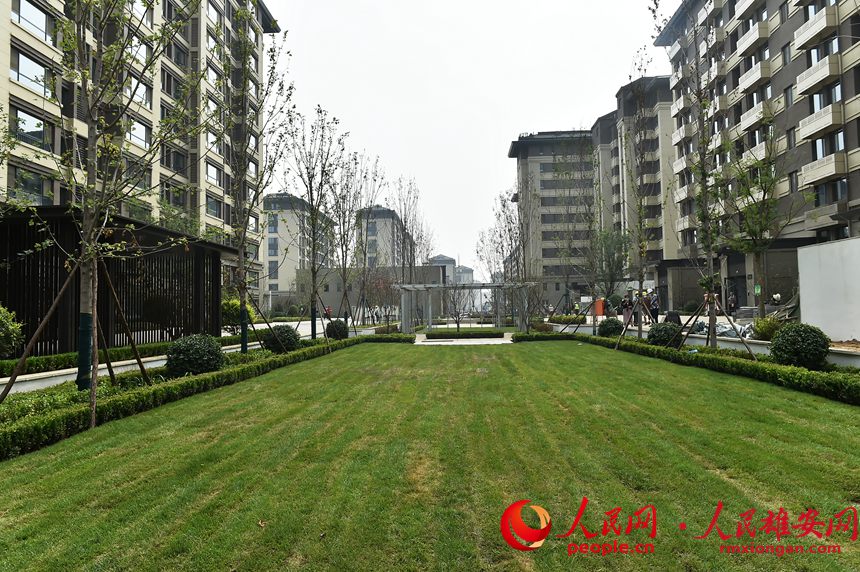 ۰^ݖ|Ƭ^DС^ȾGꖔz