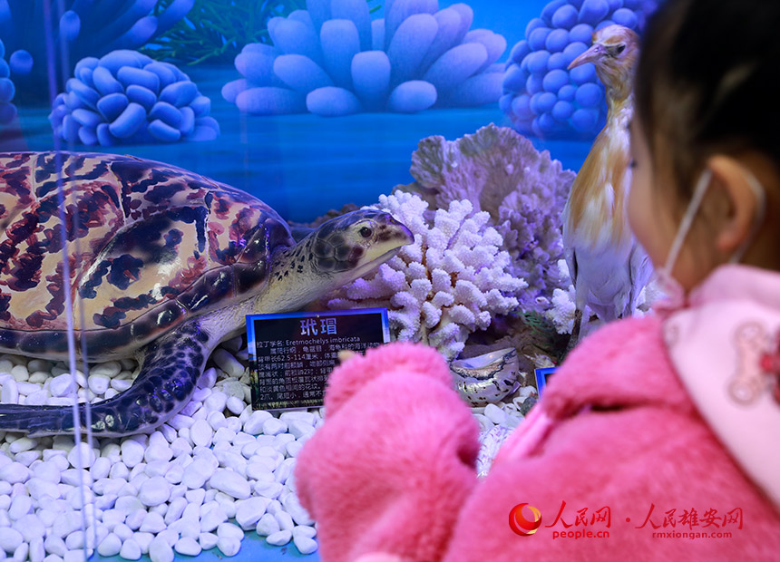 оȻB^ȵ裘˱a˘OdȤW ΟĔz