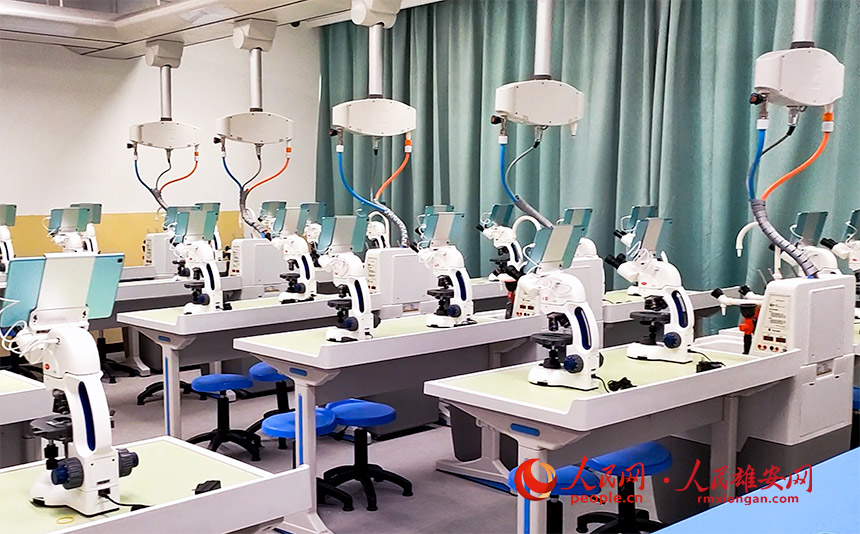 ۰ݺ͐СWĵbƌW@΢RƽXόW̽ȻdȤۡIͨz