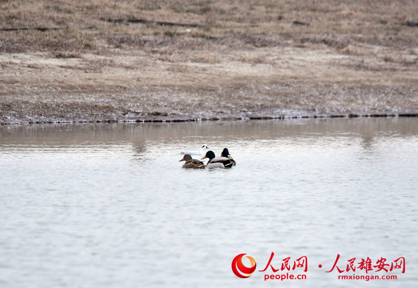 Тxӝع@ȗϢİ^ɳnz