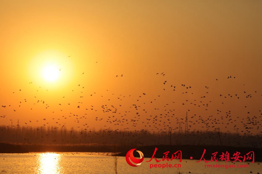 ҡСoBG^۝uˮBMɵBȺRz