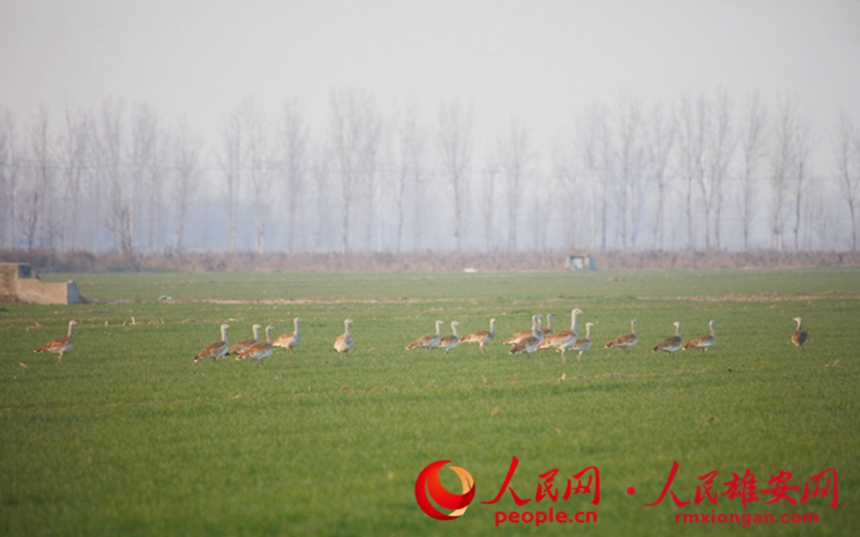 ۰^¿hϢĴdRz