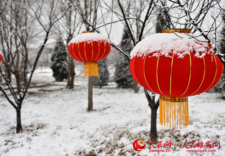 D鱻ѩwğ\Oˡѩڡꖔz