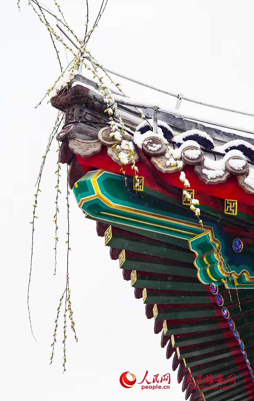 ѩе۰ݹ@ɫ z