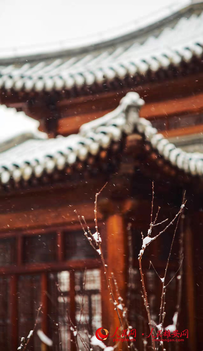 ѩе۰ݹ@ɫ z