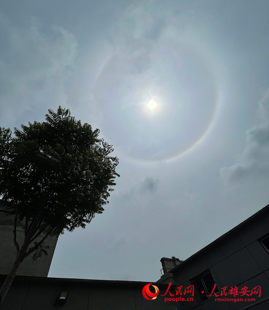 r۰ϿճFՕ^W ʩƾz