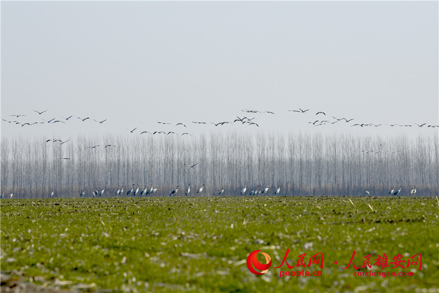 SBhԽԽɞBXz