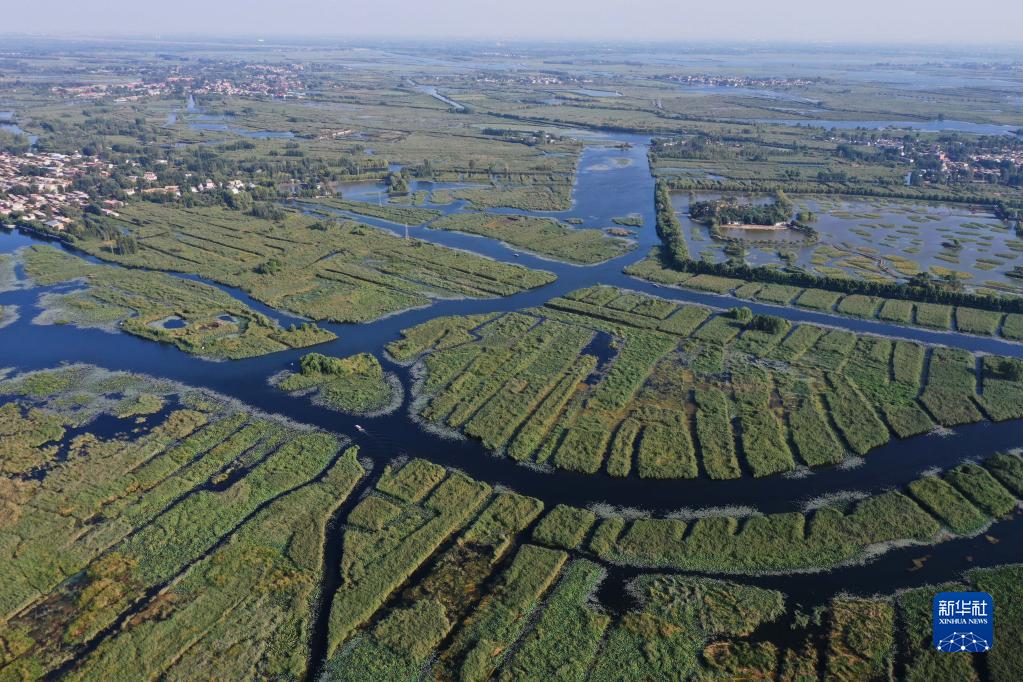 　　這是雄安新區白洋淀劃定的一處鳥類棲息地（9月21日攝，無人機照片）。
