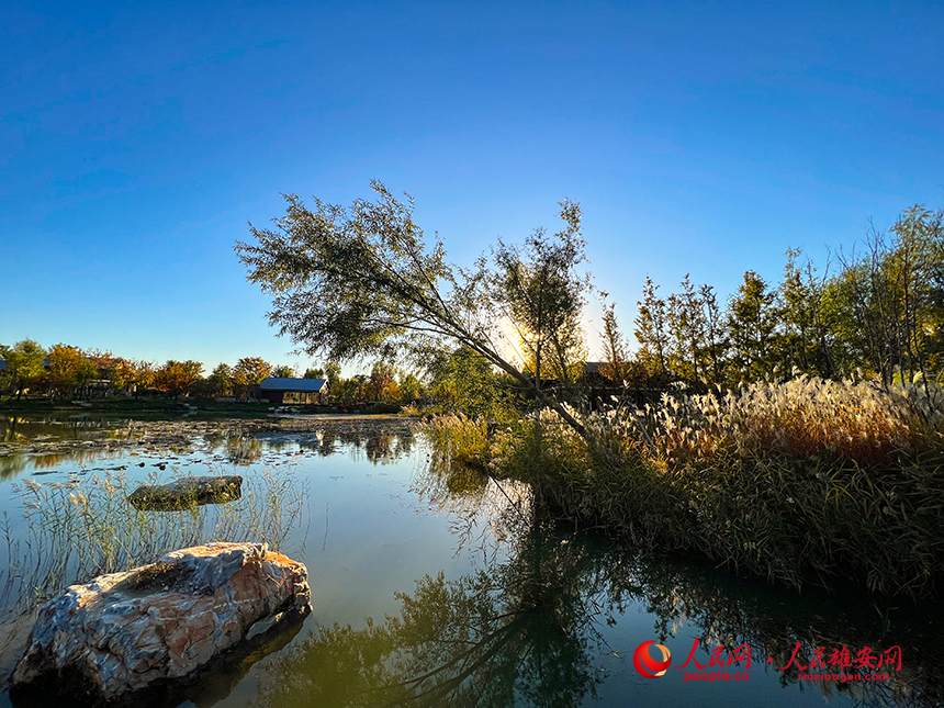 悅容公園秋意濃濃。人民網?楊華龍攝