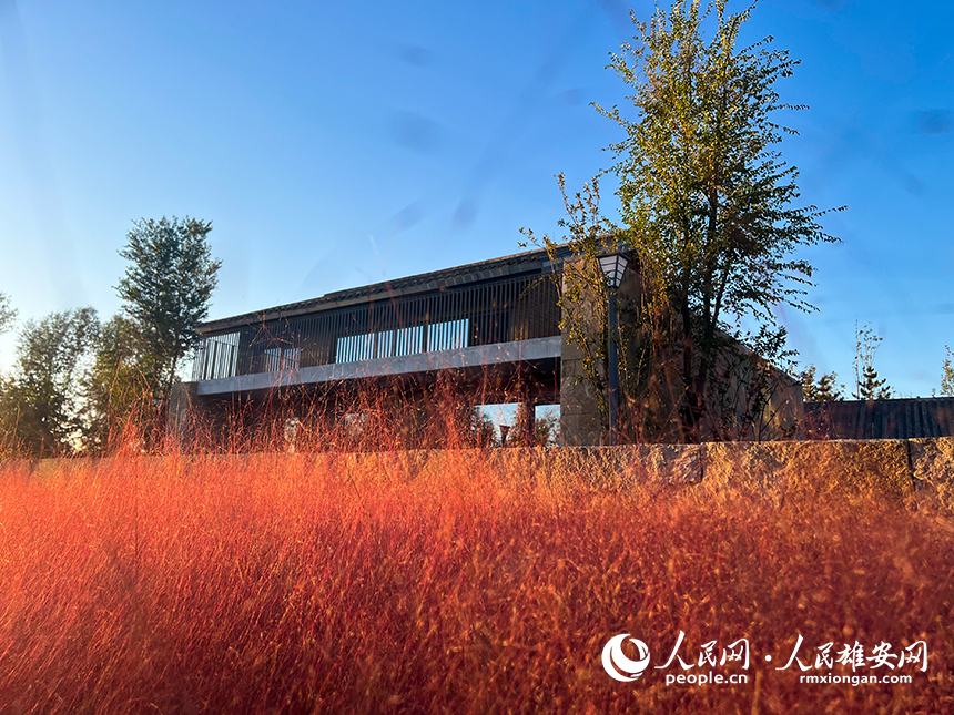悅容公園秋意濃濃。人民網?楊華龍攝