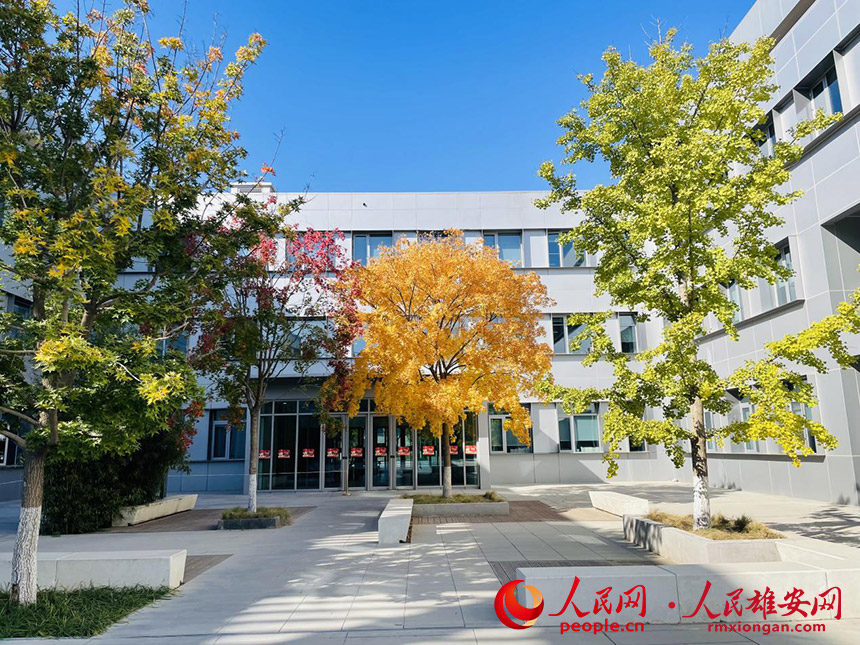 秋天，雄安披上彩衣，紅黃藍相間，煞是好看。胡水攝