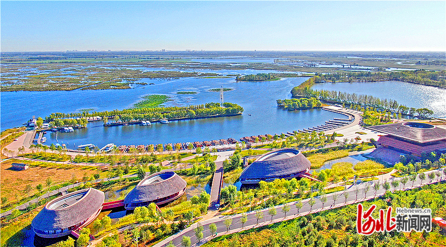 秋日的白洋淀蘆葦婆娑，波光蕩漾，舉目皆景。河北日報記者張昊攝