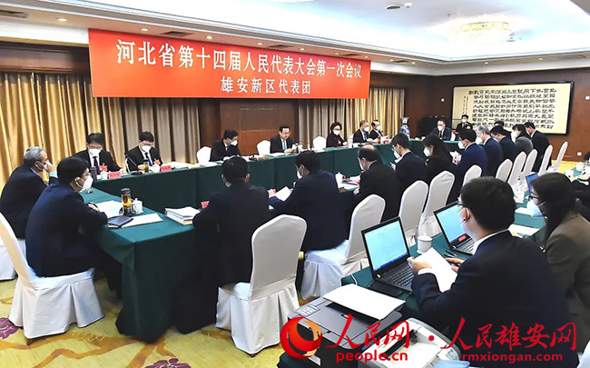 雄安新區代表團審議省人大常委會和省法院省檢察院工作報告。劉向陽攝