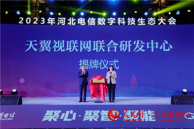 活動現場。河北電信供圖