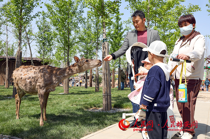 游客和小動物互動。人民網?宋燁文攝