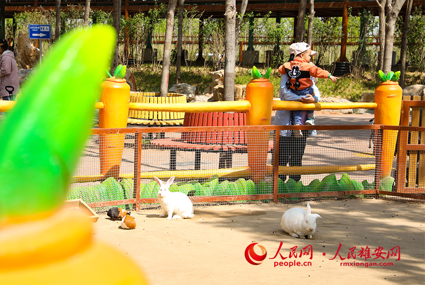 游客和小動物互動。人民網?宋燁文攝