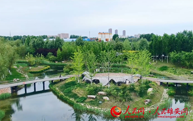 圖為容城縣公園一角。容城縣園林綠化管理中心供圖