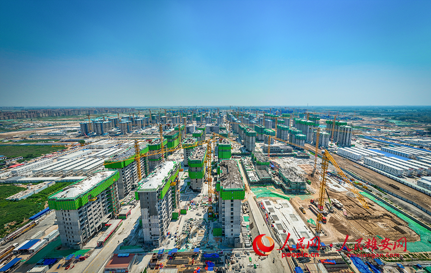 雄安新區雄東片區B單元安置房一標段建設現場。任雙歡攝