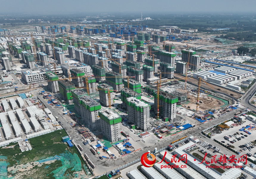 雄安新區雄東片區B單元安置房一標段建設現場。任雙歡攝