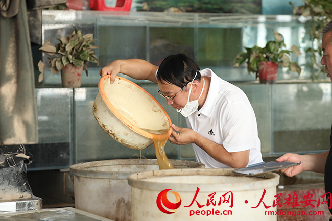 調制酵素噴灑液過程中，董明正在確定液體氣味濃度。人民網 李兆民攝