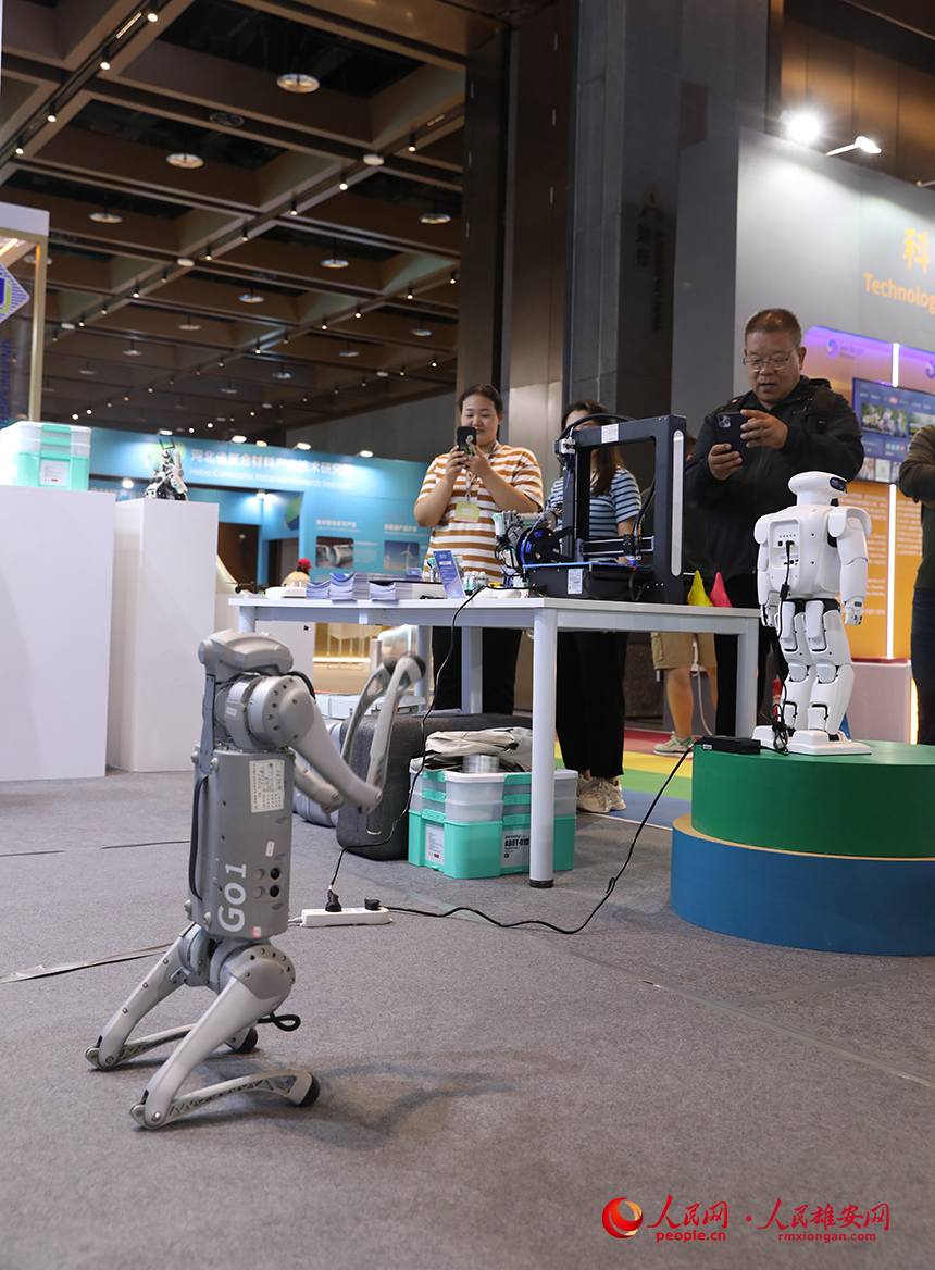 2023河北國際工業設計周展品。人民網 李兆民攝