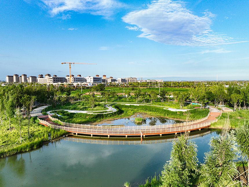 航拍雄安新區啟動區中央綠谷景色。胡忠攝