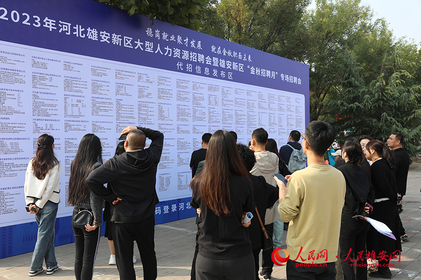 2023年河北雄安新區大型人力資源招聘會暨雄安新區“金秋招聘月”專場招聘會現場。 人民網記者 李兆民攝