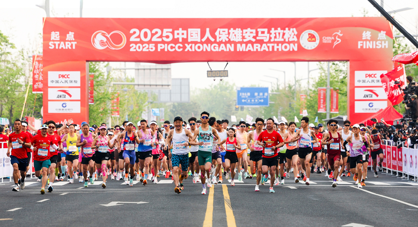 HYJF4521-opq3585022044