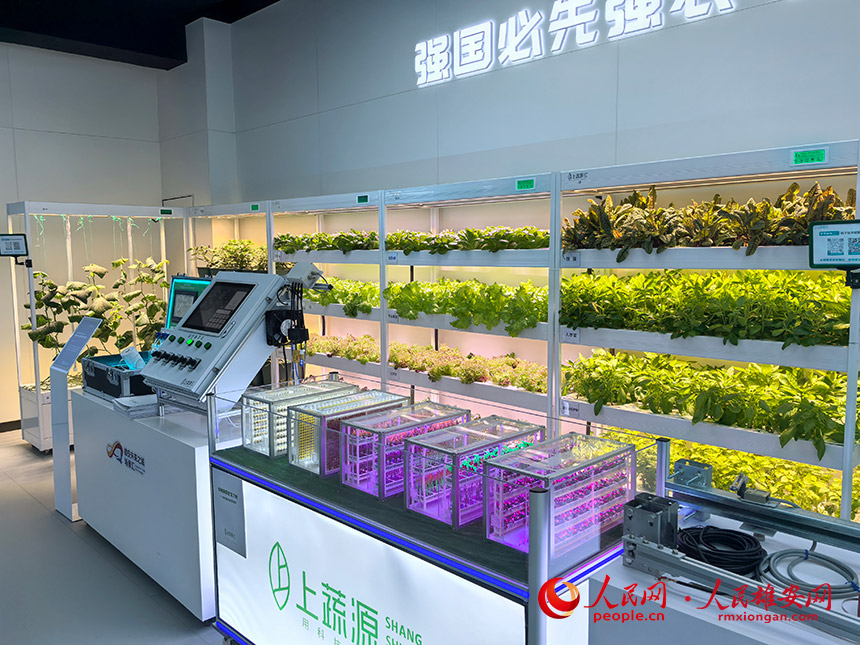 智慧農業體驗區。人民網記者 王紅攝