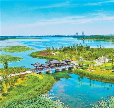 白洋淀燕南堤。耿 輝攝（人民視覺）