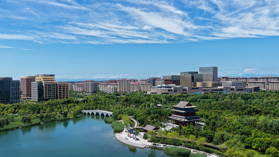 雄安金湖公園。齊鑫攝