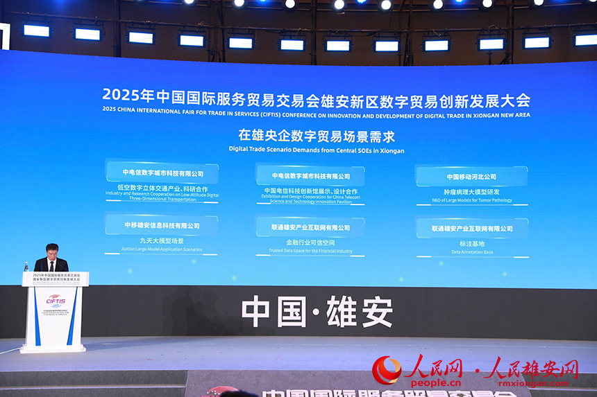 在雄央企數字貿易場景需求發布。人民網記者 宋燁文攝