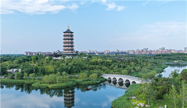 我在雄安建公園