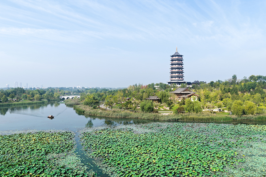 雄安悅容公園。胡忠攝